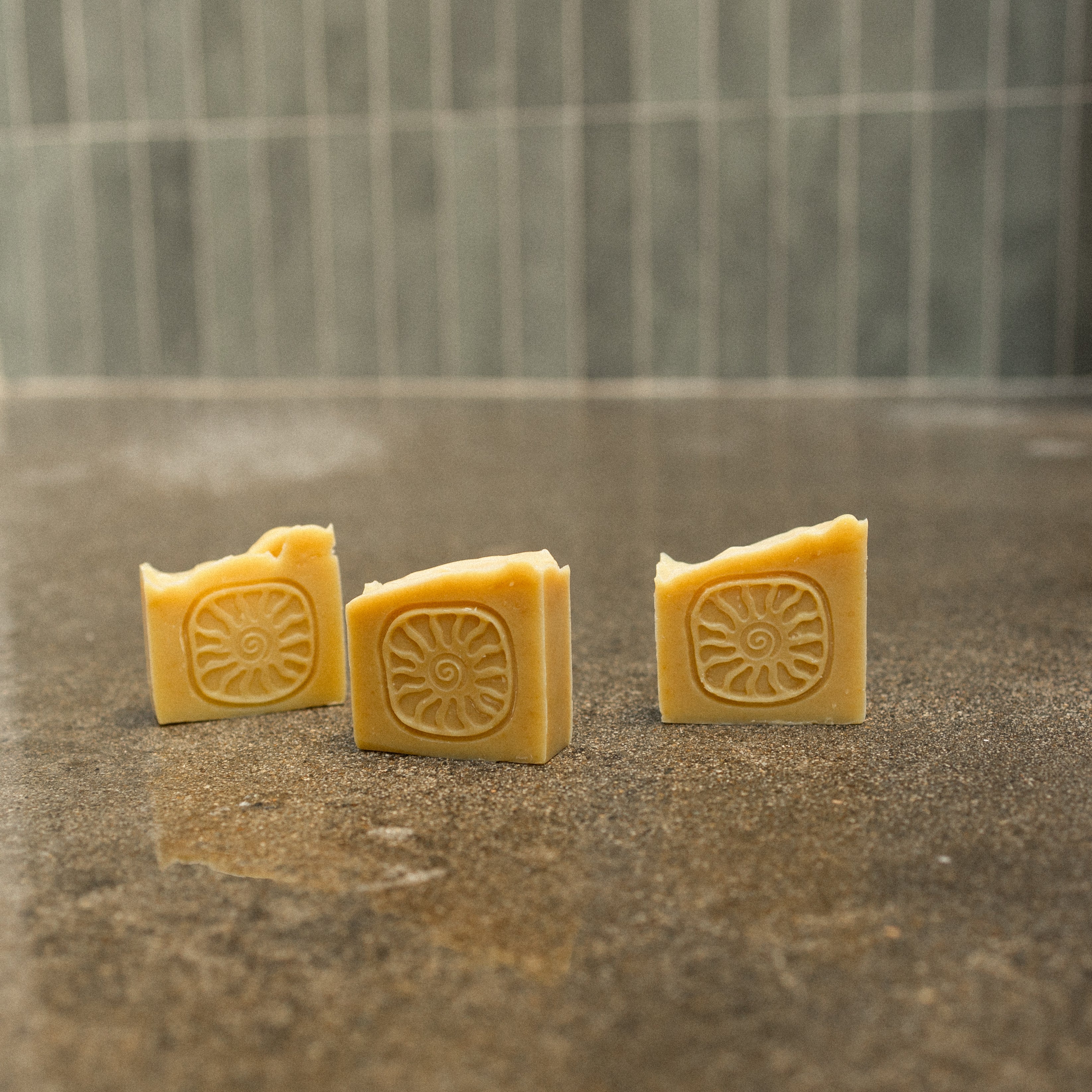 tallow soap bar